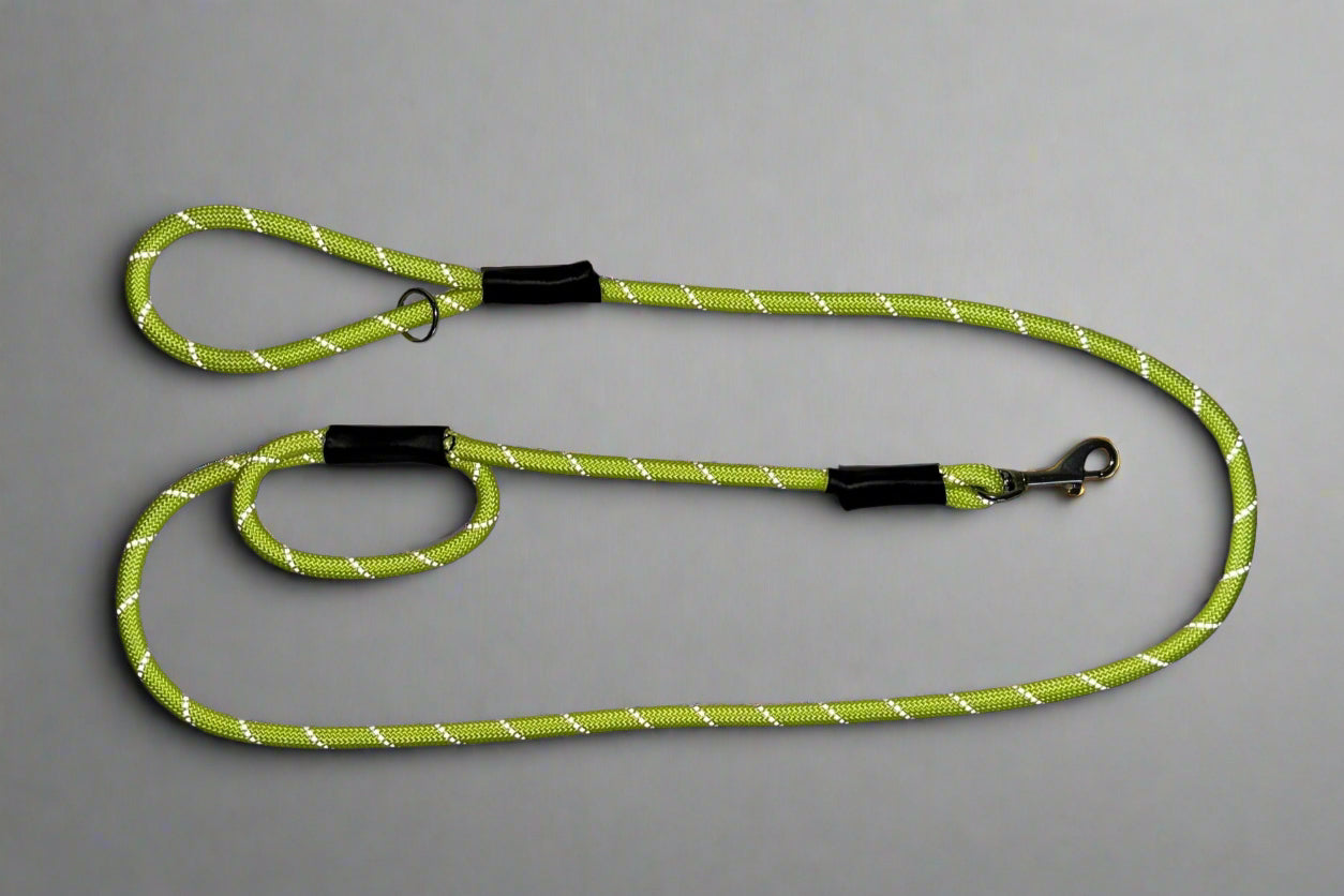 Glow in the dark and Reflective Lead Clip or Slip