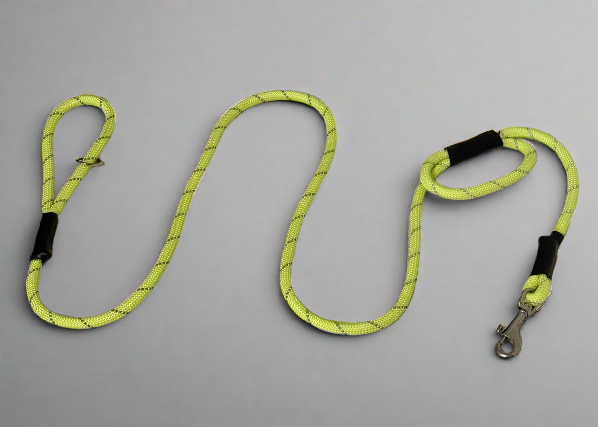 Glow in the dark and Reflective Lead Clip or Slip