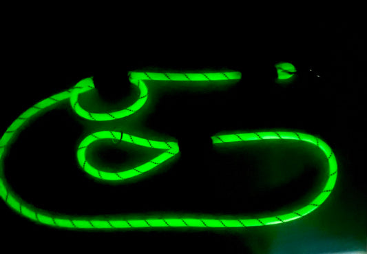 Glow in the dark and Reflective Lead Clip or Slip